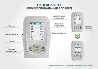 СКЭНАР-1-НТ (исполнение 01)  в Вологде купить Медицинский интернет магазин - denaskardio.ru 