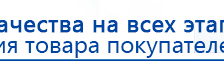 Пояс электрод для аппаратов Скэнар купить в Вологде, Выносные электроды купить в Вологде, Медицинский интернет магазин - denaskardio.ru